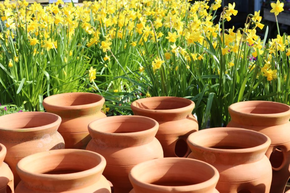 terracotta